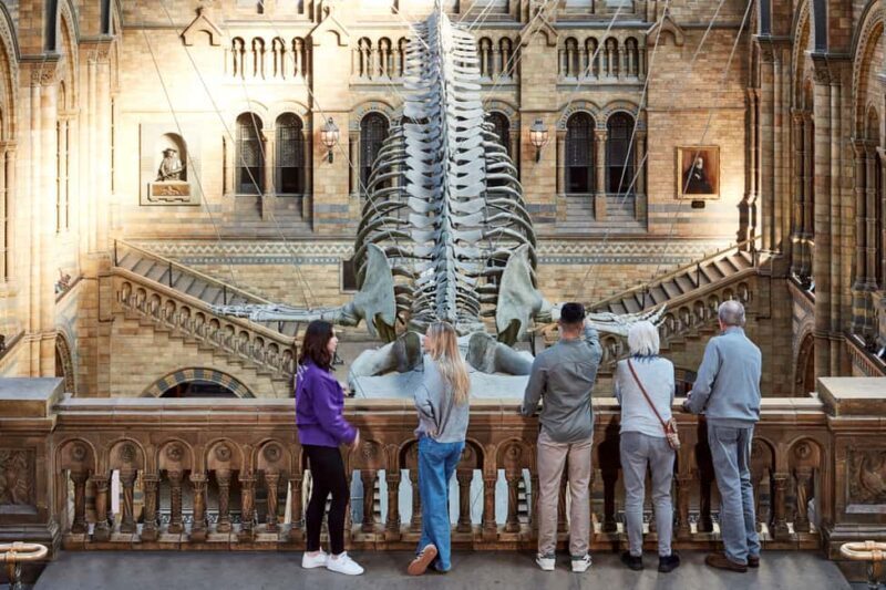 London: Official Natural History Museum Tour - Highlights - Exploring the Highlights in Detail