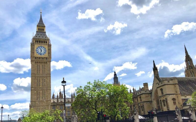 london-parliament-palaces-private-walking-tour-with-guide