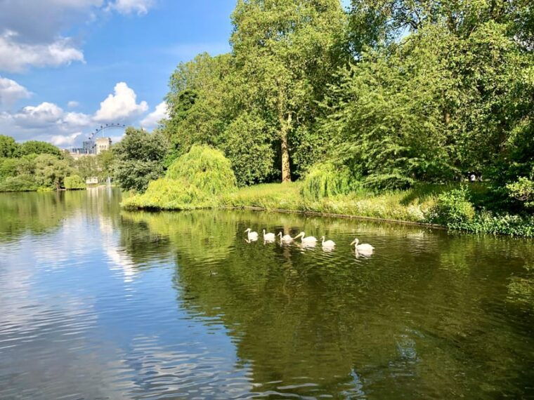 london-parliament-palaces-private-walking-tour-with-guide