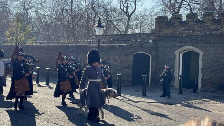 london-royal-family-and-changing-of-the-guards-walking-tour