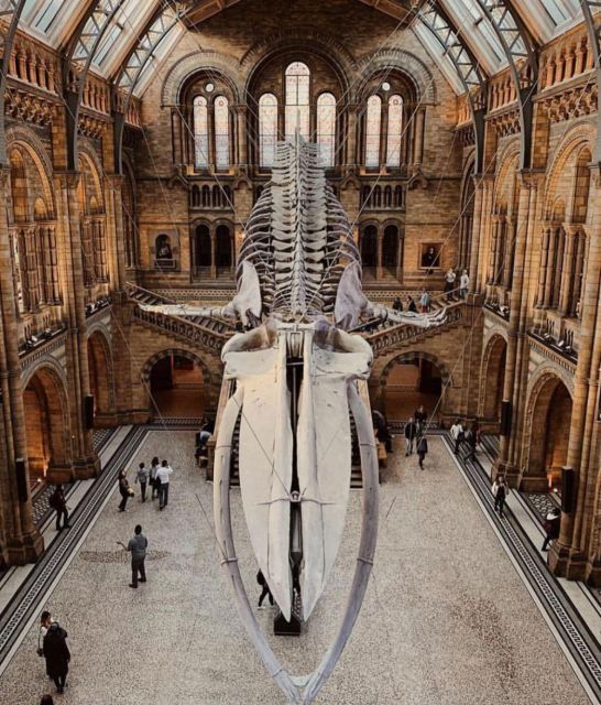 london-royal-kensington-guided-walking-tour