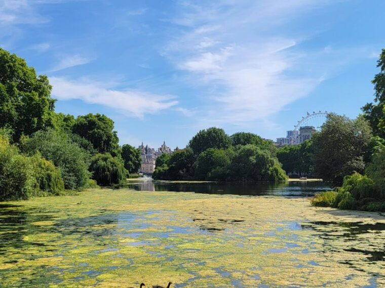 london-royal-walking-tour-and-buckingham-palace-audio-tour