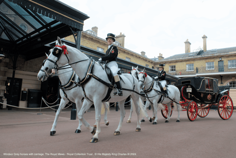 london-royal-walking-tour-with-guard-change-royal-mews