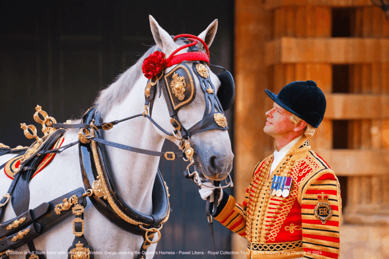 london-royal-walking-tour-with-guard-change-royal-mews