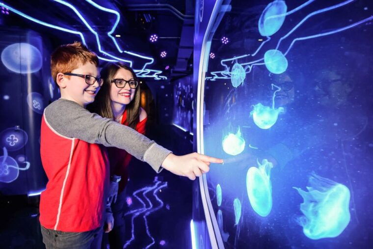 london-sea-life-entry-ticket