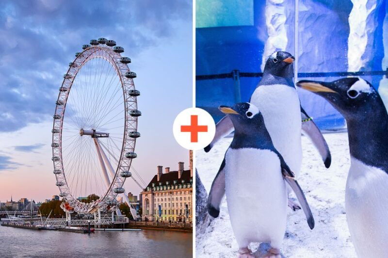 london-sea-life-london-eye-combo-ticket
