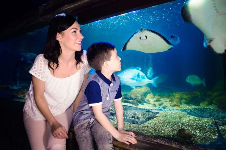 london-sea-life-london-eye-combo-ticket