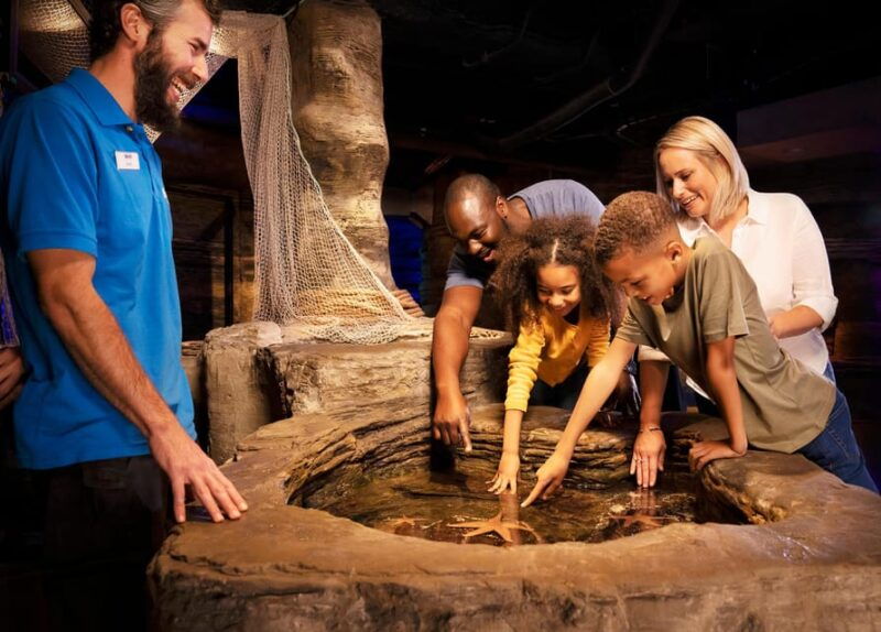 london-sightseeing-flex-pass-london-eye-and-40-more-options