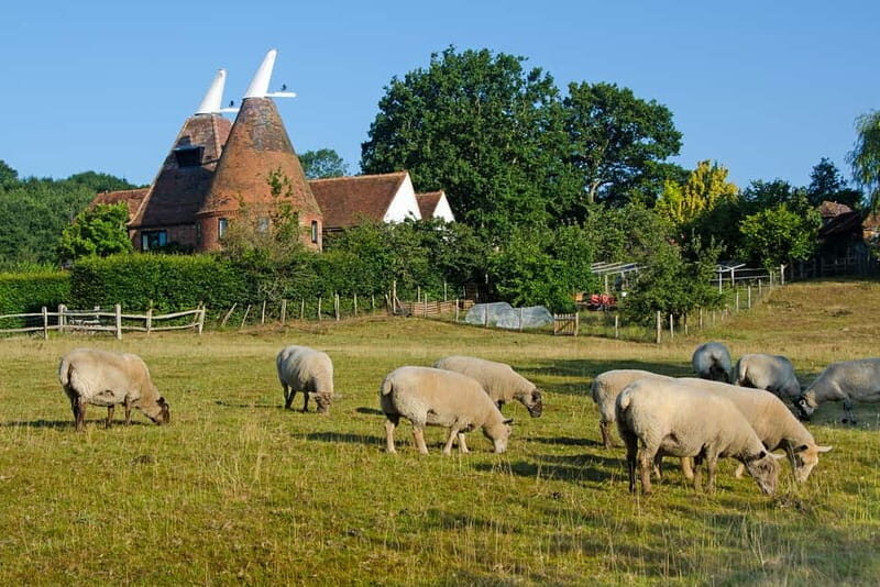 London: Small Group Canterbury, Dover & Kent Villages Tour - Who Would Love This Tour?