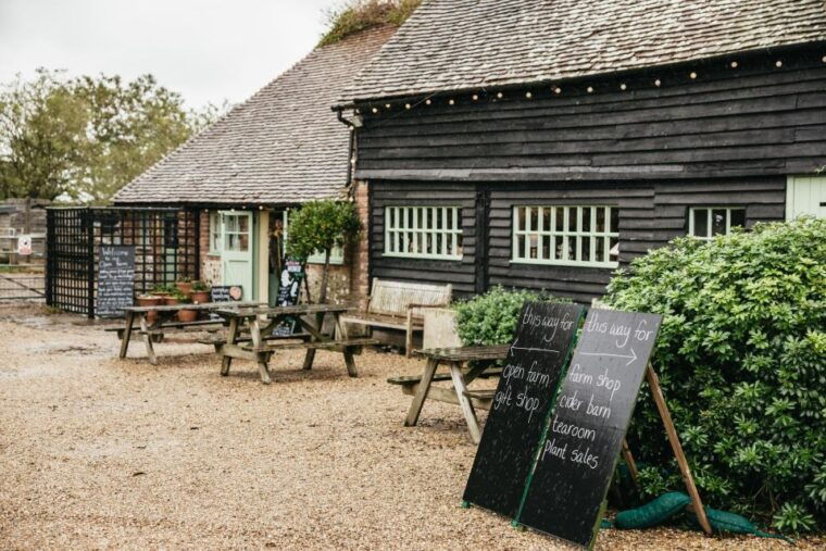 london-south-downs-white-cliffs-day-trip-with-train-tickets