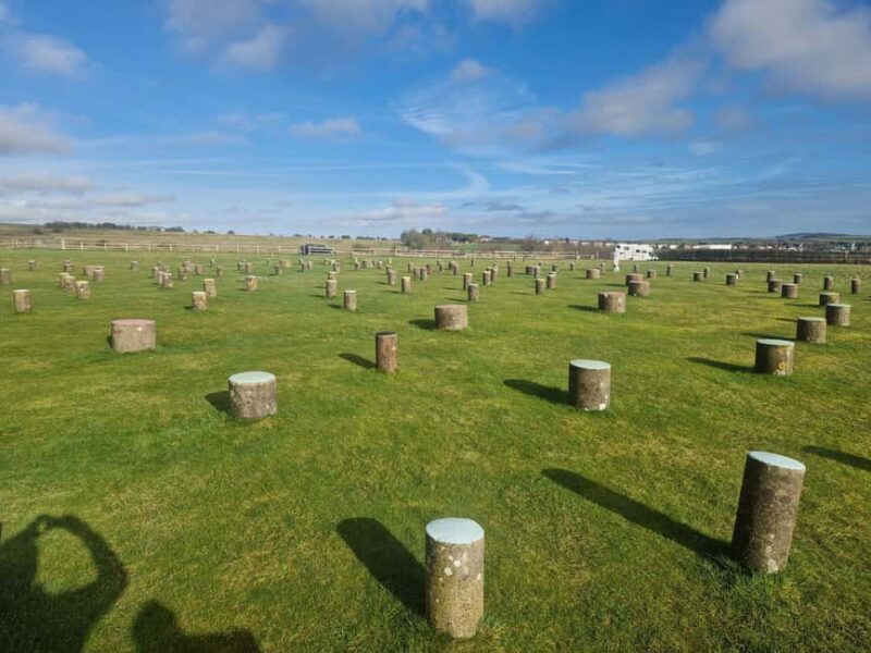 London: Stonehenge and Woodhenge Private Black Cab Tour - Introduction