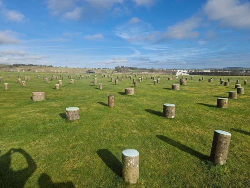 london-stonehenge-and-woodhenge-private-black-cab-tour