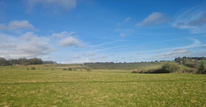 london-stonehenge-and-woodhenge-private-black-cab-tour