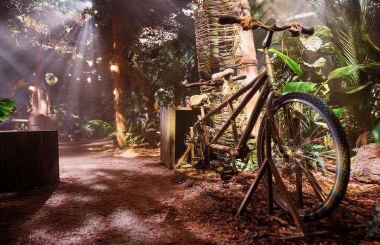 london-the-paddington-bear-experience