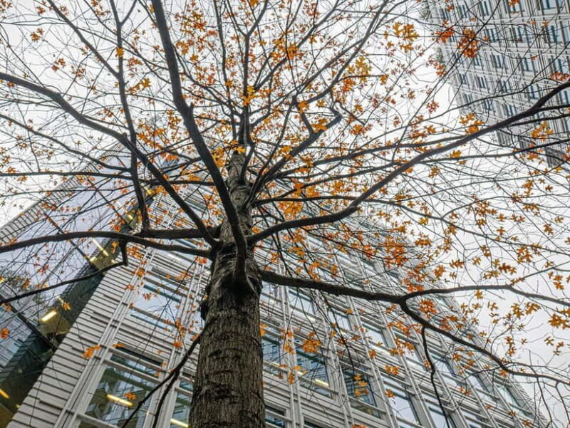 London: West End Photography Walking Tour with Guide - FAQ