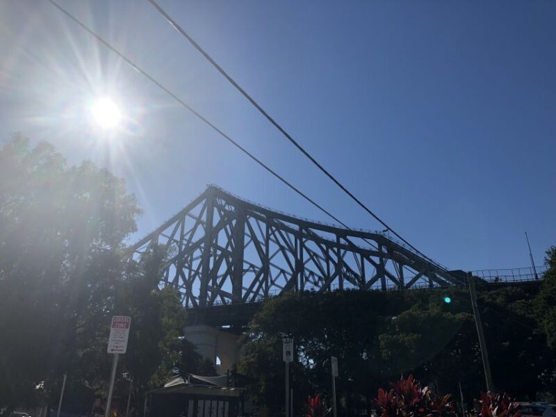 Lone Pine and Brisbane City Highlights - The Value of This Tour