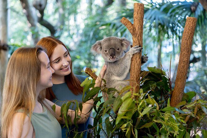 Lone Pine Koala Sanctuary Day Pass - The Itinerary: What to Expect