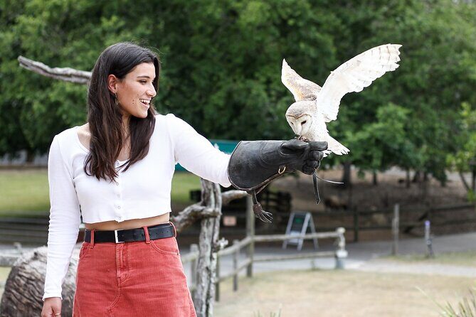 Lone Pine Koala Sanctuary Day Pass - FAQs