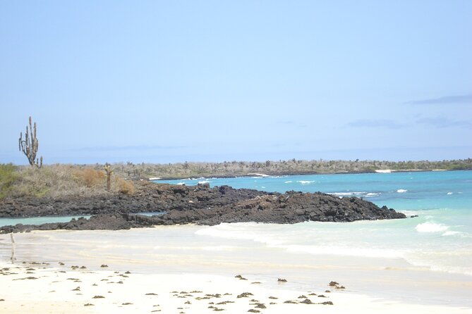 lonesome-george-adventure