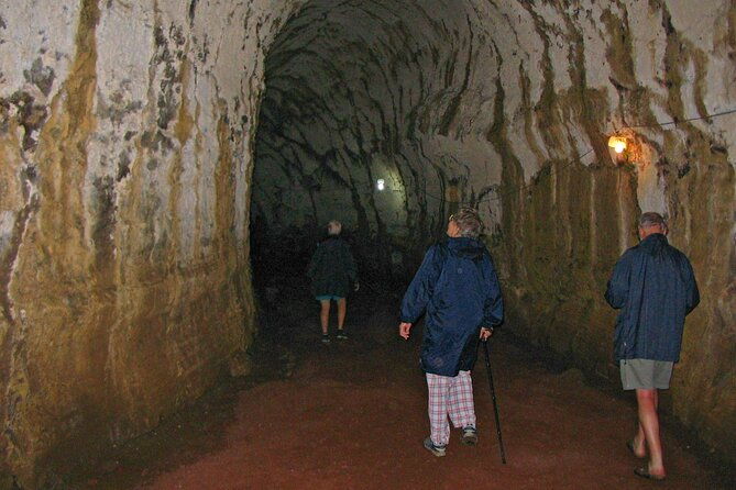 lonesome-george-adventure