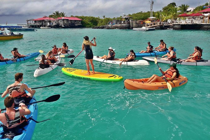 lonesome-george-adventure