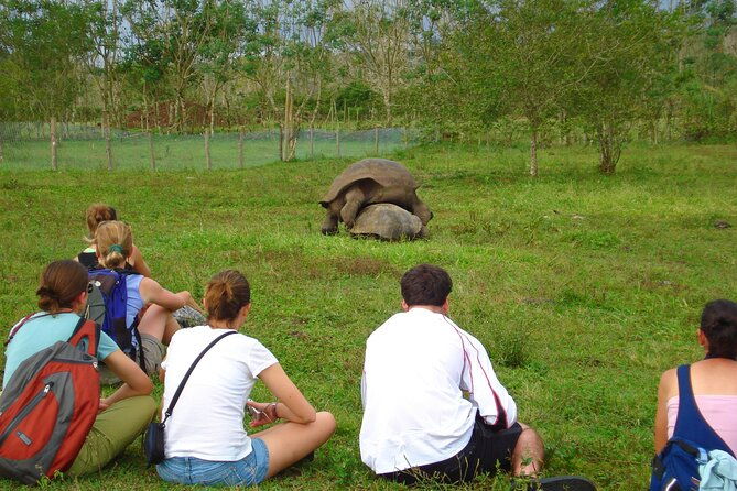 lonesome-george-adventure