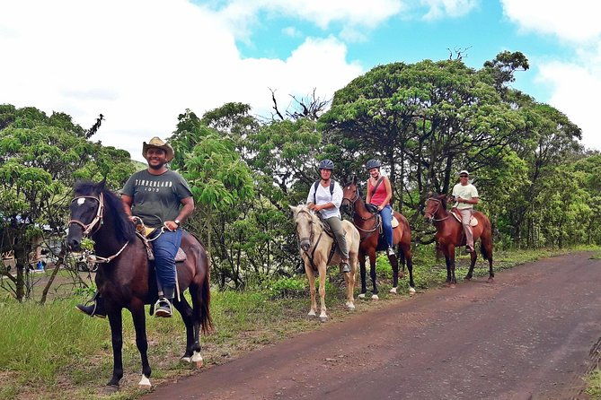 lonesome-george-adventure