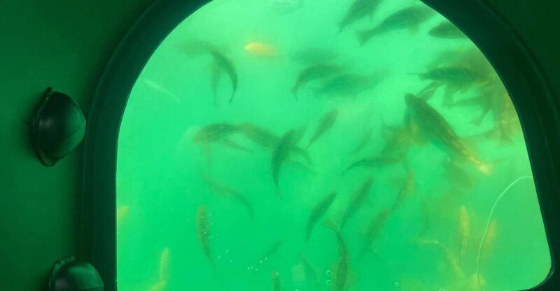 Long Beach: Glass Bottom Boat Harbor Ecotour - Exploring the Experience in Detail  