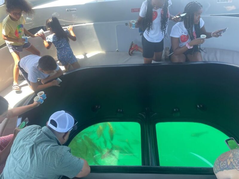Long Beach: Glass Bottom Boat Harbor Ecotour - Final Thoughts  
