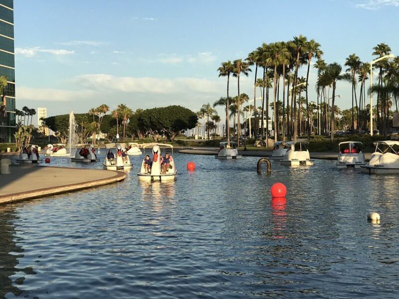 Long Beach: Swan Boat Rental at Rainbow Lagoon - Who Should Consider This Experience?