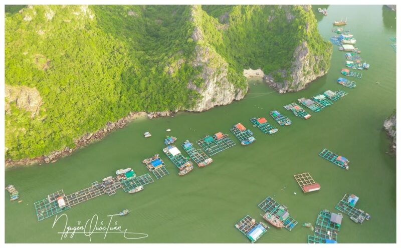 long-trekking-catba-national-park-lan-ha-bay-full-day-trip