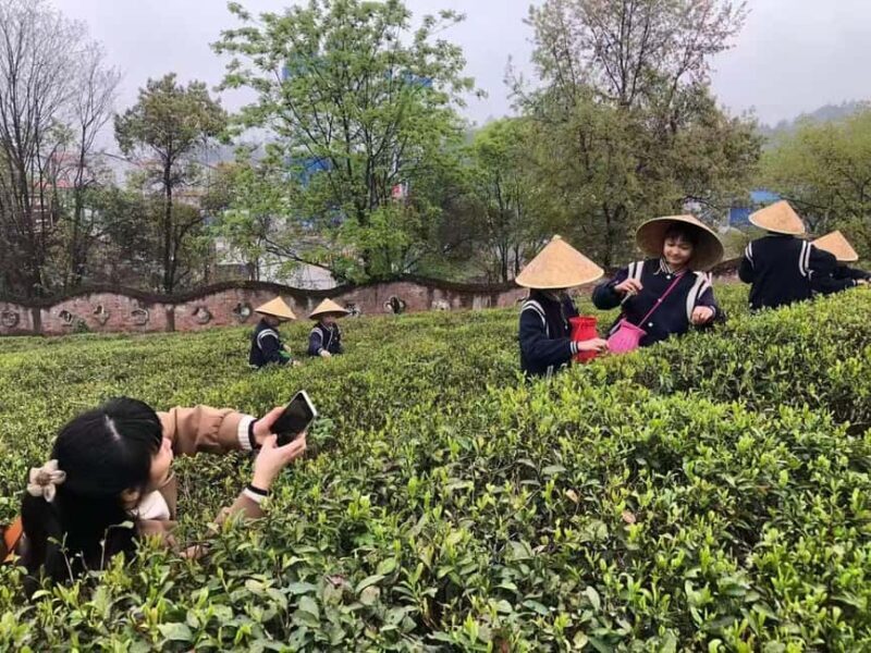 Longji Rice Terraces: 1-Day Private Tour - Key Points