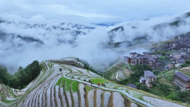Longji Rice Terraces: 1-Day Private Tour - Who This Tour Is Best For