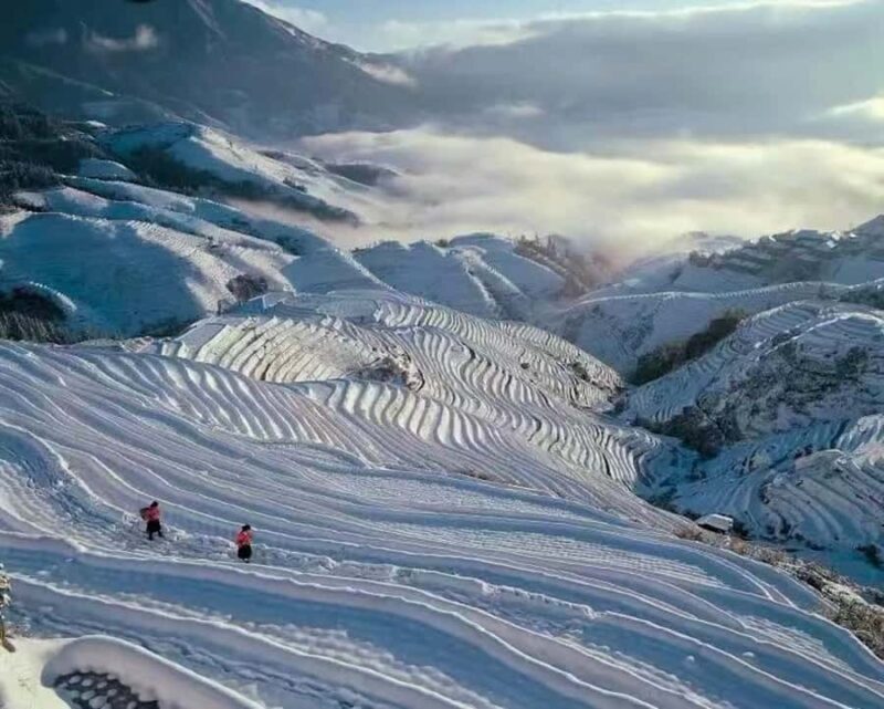 Longji Rice Terraces Flex Tour | Free Explore or Wide View - The Sum Up: Who Is This Tour Best For?