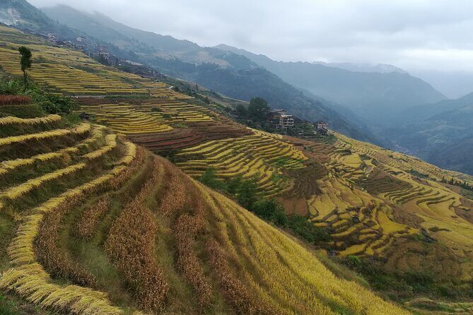 Longji Rice Terraces Hiking Tour Full Day Adventure - Cancellation & Booking Flexibility