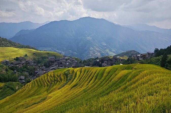Longji Rice Terraces Hiking Tour Full Day Adventure - Who Should Consider This Tour?