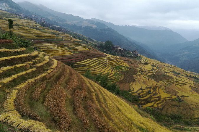 Longji Rice Terraces Hiking Tour Full Day Adventure - FAQs