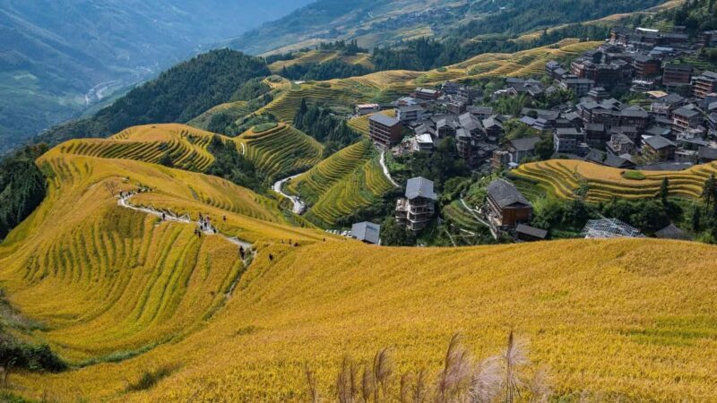 Longji Terraced Fields: Hiking to explore Ethnic Villages - Longji Terraced Fields: Hiking to explore Ethnic Villages – An authentic adventure in Southern China