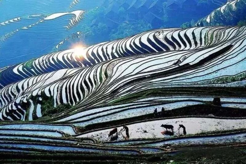 Longji Terraced Fields: Hiking to explore Ethnic Villages - The Sum Up: Who Will Love This Tour?