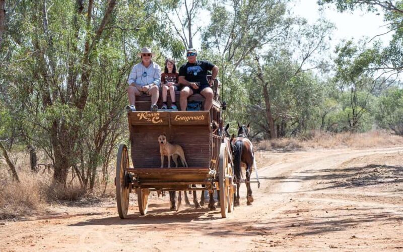 Longreach: Ride on a historic stagecoach on a bush track - A detailed look at the Longreach stagecoach experience