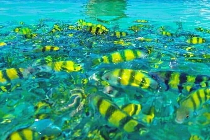 Longtail boat: Krabi 7 Islands Sunset tour Snorkeling - Final Words