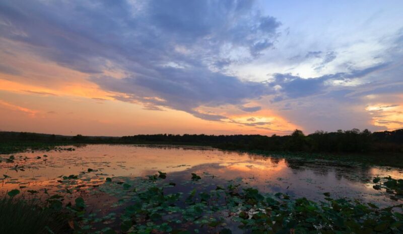 LookAbout Darwin Wetlands Wildlife Premium Tour Max 6 Guests - FAQ