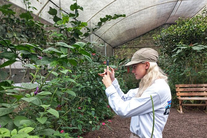 looking-for-nature-around-quito-mindo-cloudforest-private-tour