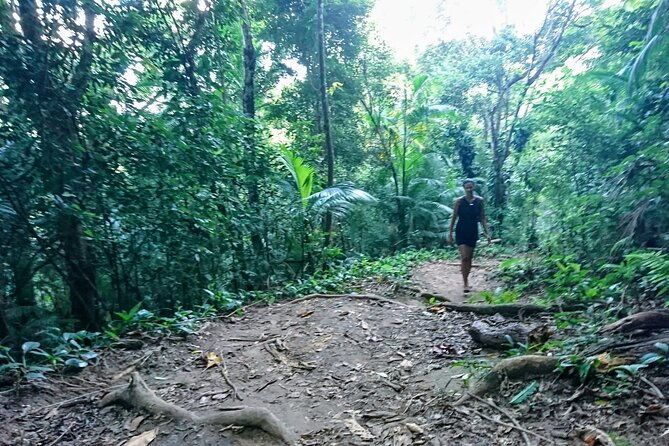 lopes-mendes-private-hiking-in-ilha-grande-with-return-by-boat