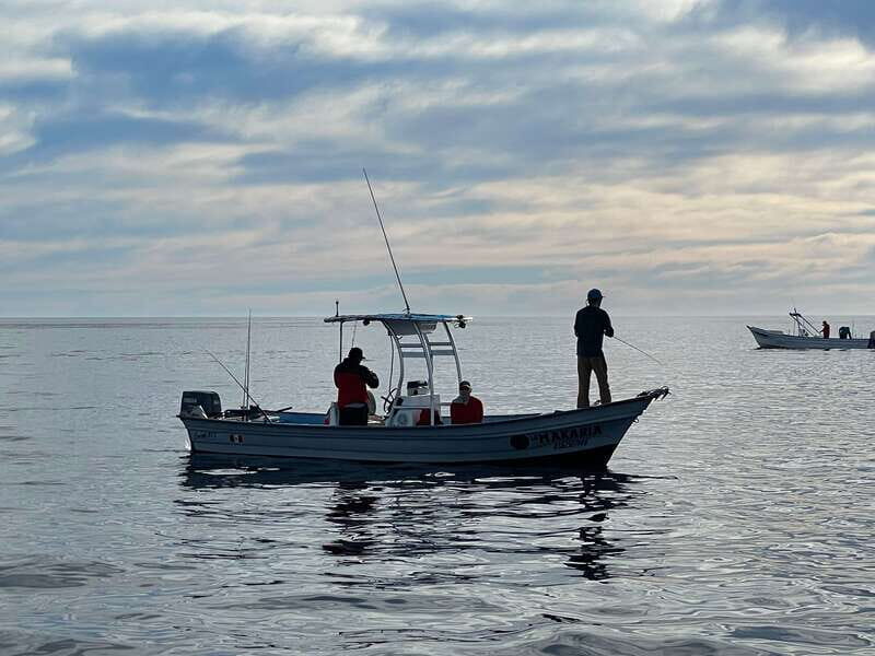 Loreto: Private Deep-Sea Fishing Trip with Gear and Lunch - Authentic Insights from Reviewers