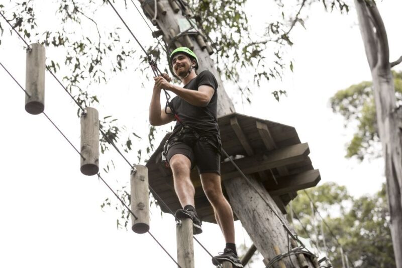 Lorne: Live Wire Park Super Circuit Ticket - Lorne: Live Wire Park Super Circuit Ticket Review