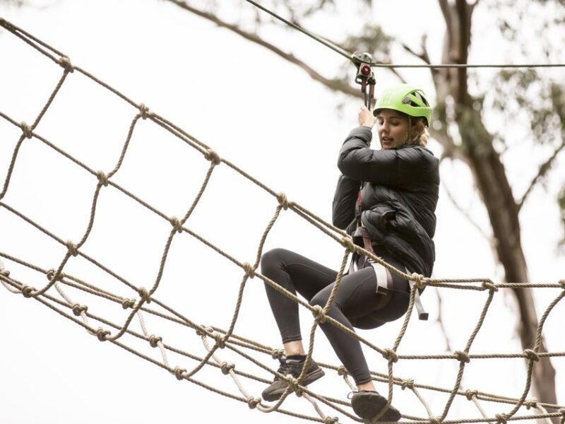Lorne: Live Wire Park Super Circuit Ticket - What to Expect at Live Wire Parks Super Circuit