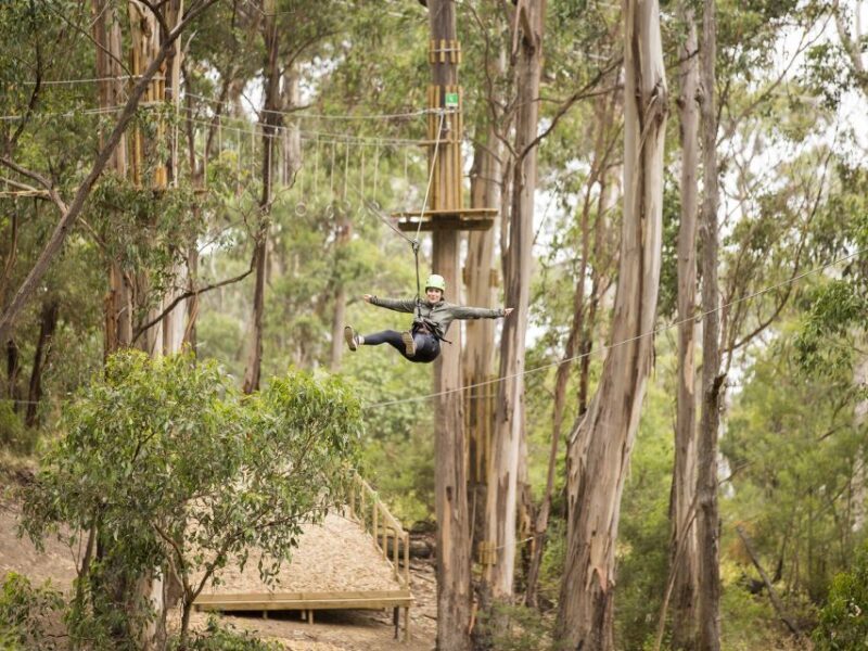 Lorne: Live Wire Park Super Circuit Ticket - Practical Tips for Potential Participants