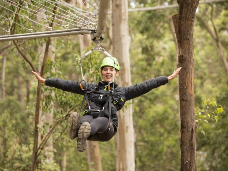 Lorne: Live Wire Park Ticket with Zip Line Rollercoaster - Key Points