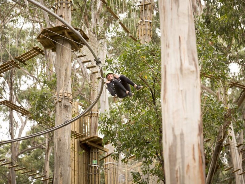 Lorne: Live Wire Park Ticket with Zip Line Rollercoaster - What to Expect from Your Visit